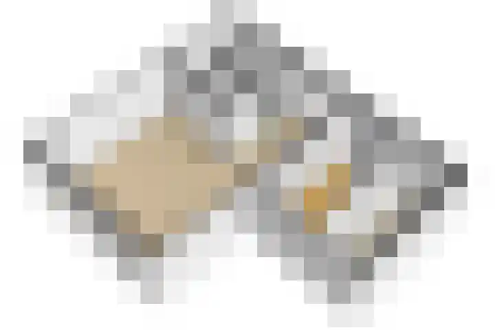 Heufkens 519 Uden thumbnail 28