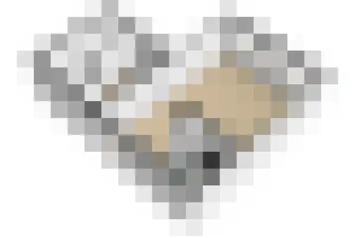 Heufkens 519 Uden thumbnail 29