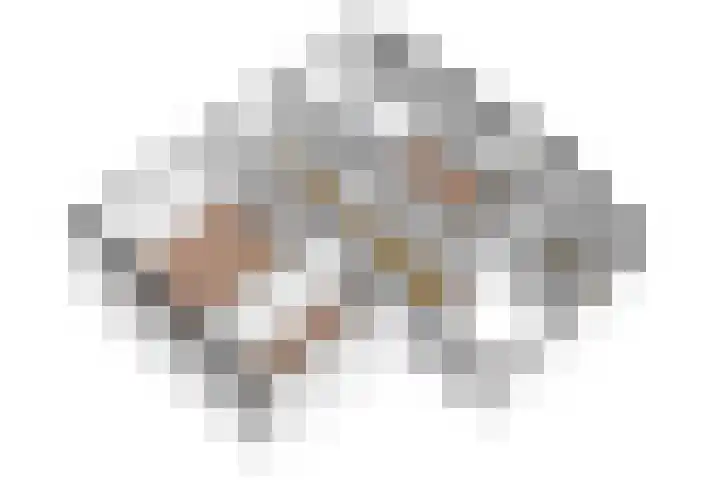 Heufkens 519 Uden thumbnail 31