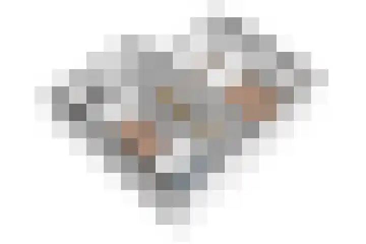 Heufkens 519 Uden thumbnail 32