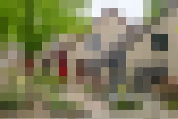 Heufkens 519 Uden thumbnail 39