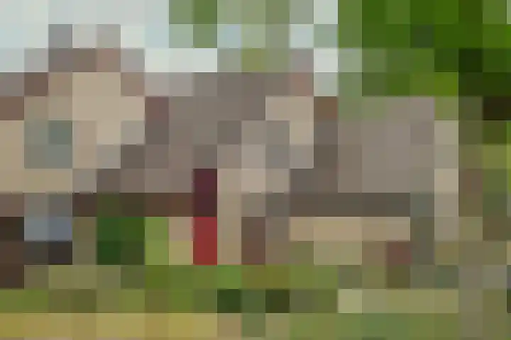 Heufkens 519 Uden thumbnail 4