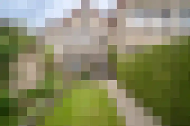 Heufkens 519 Uden thumbnail 5