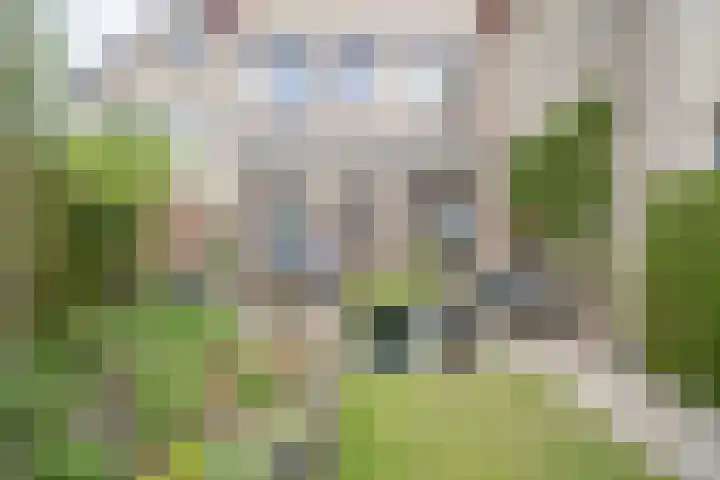 Heufkens 519 Uden thumbnail 6