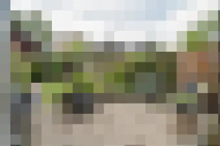 Heufkens 519 Uden thumbnail 7