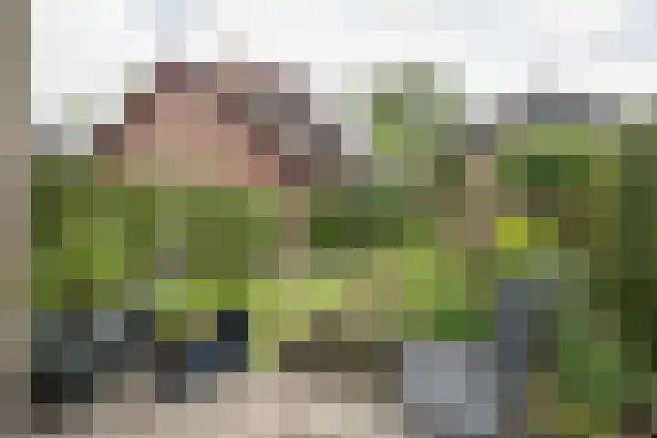Heufkens 519 Uden thumbnail 8