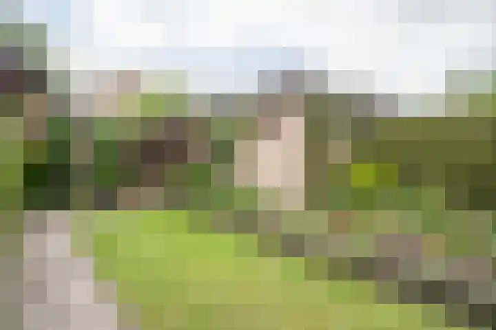 Heufkens 519 Uden thumbnail 9