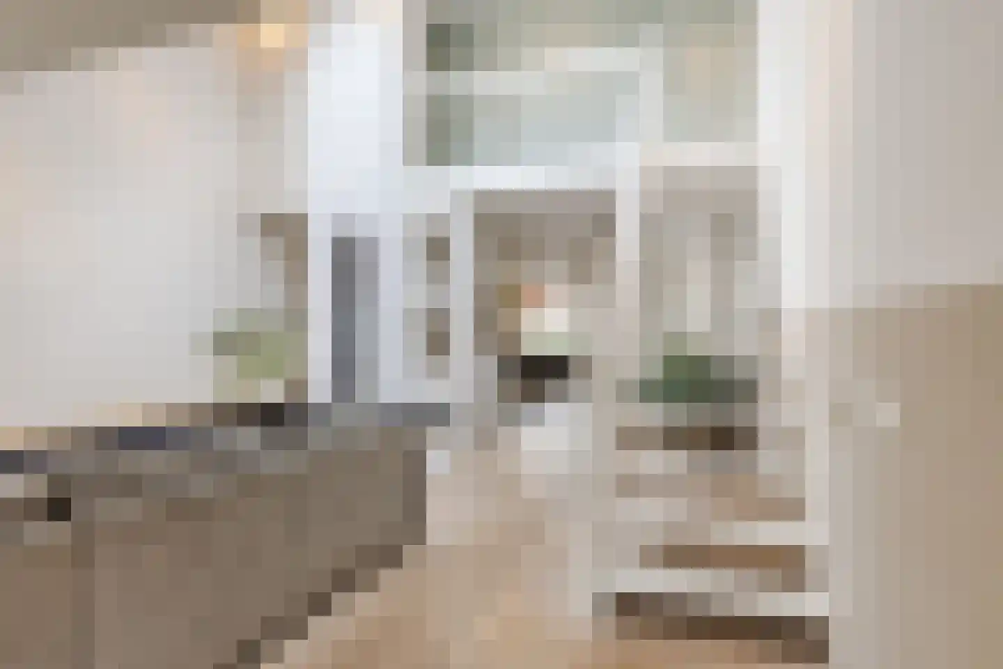 Heufkens 525 Uden thumbnail 12