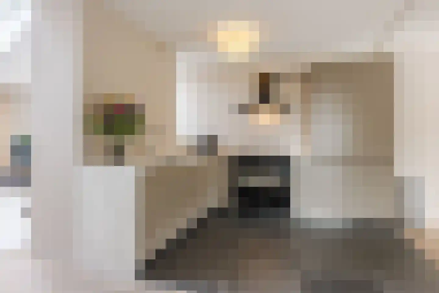 Heufkens 525 Uden thumbnail 15