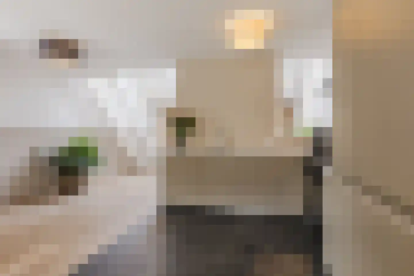 Heufkens 525 Uden thumbnail 16
