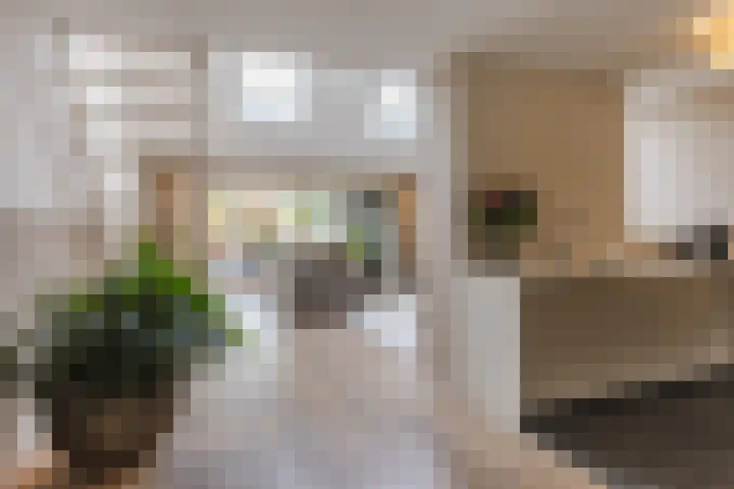 Heufkens 525 Uden thumbnail 20