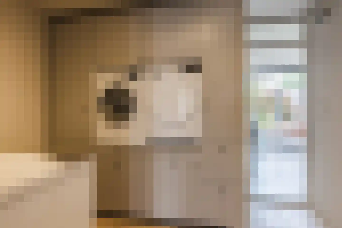 Heufkens 525 Uden thumbnail 23