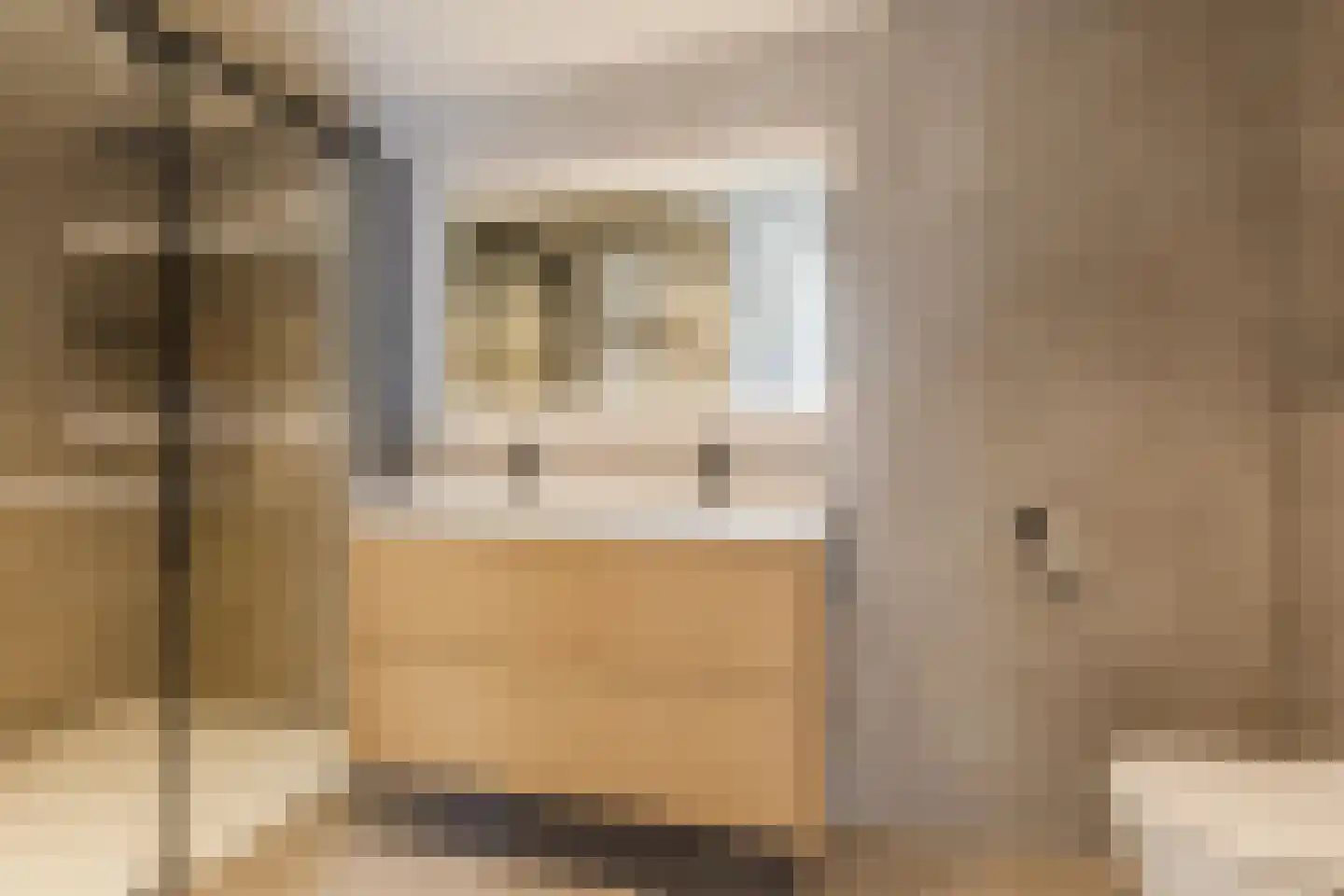 Heufkens 525 Uden thumbnail 34
