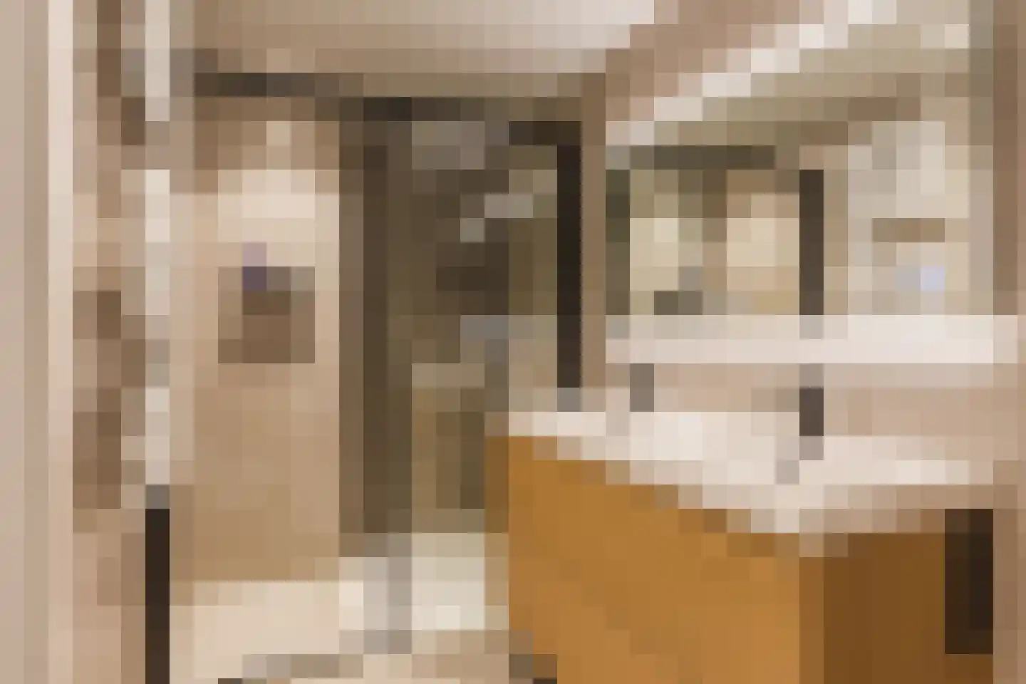 Heufkens 525 Uden thumbnail 35
