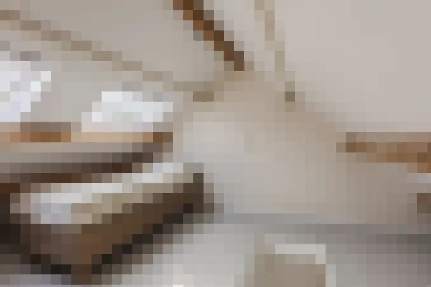 Heufkens 525 Uden thumbnail 37