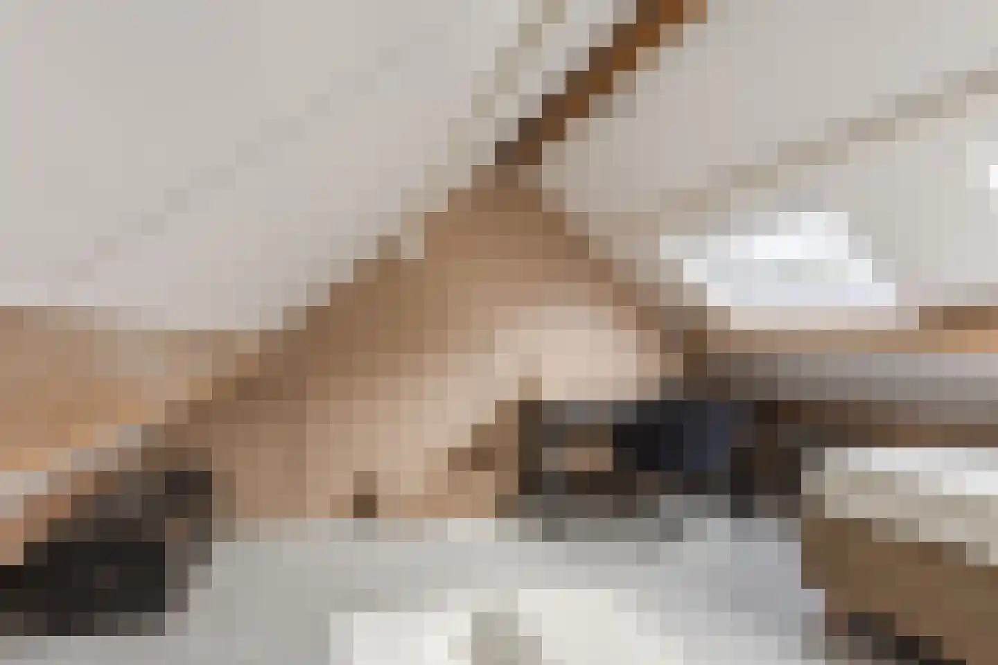 Heufkens 525 Uden thumbnail 38