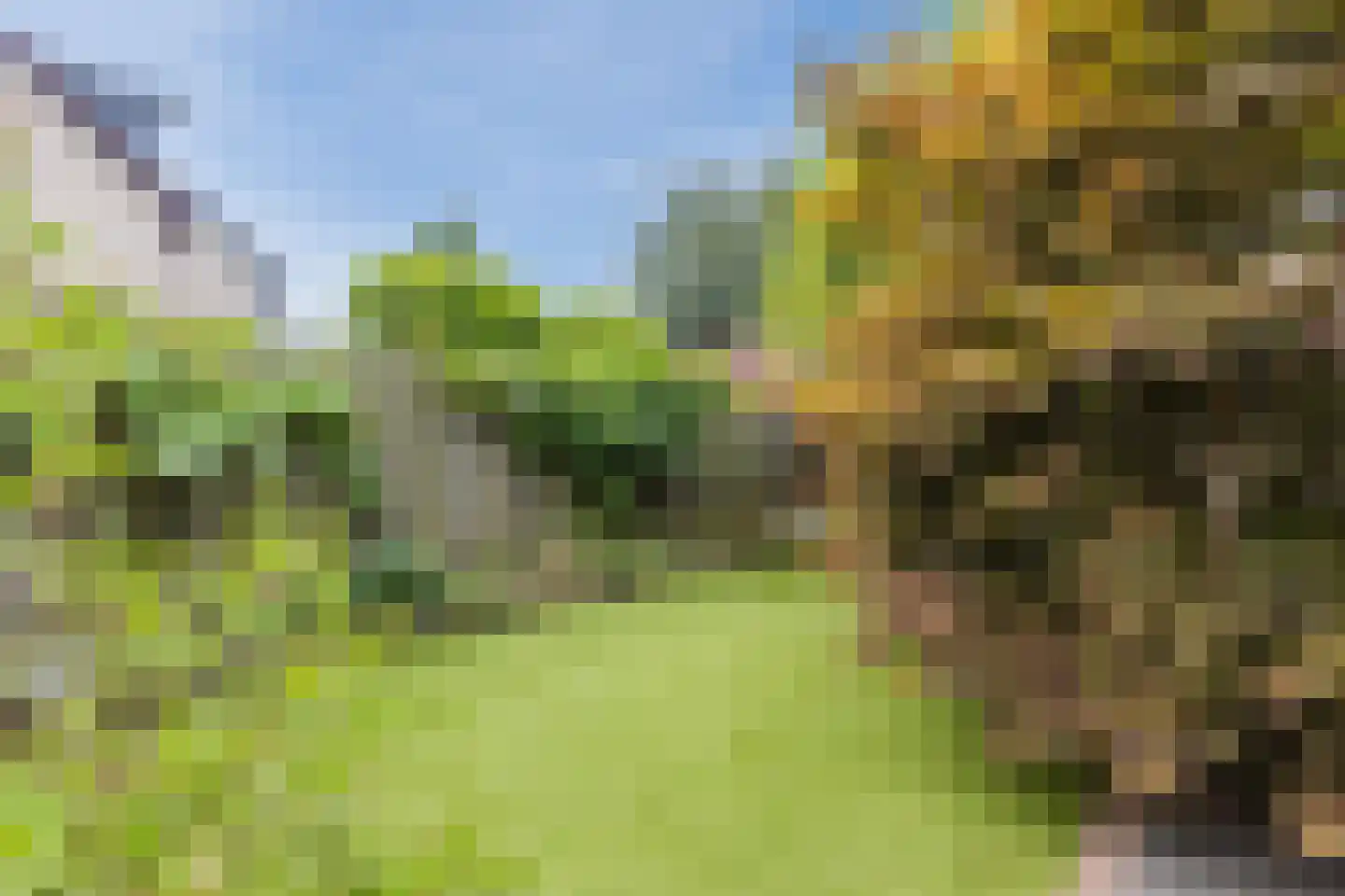 Heufkens 525 Uden thumbnail 43
