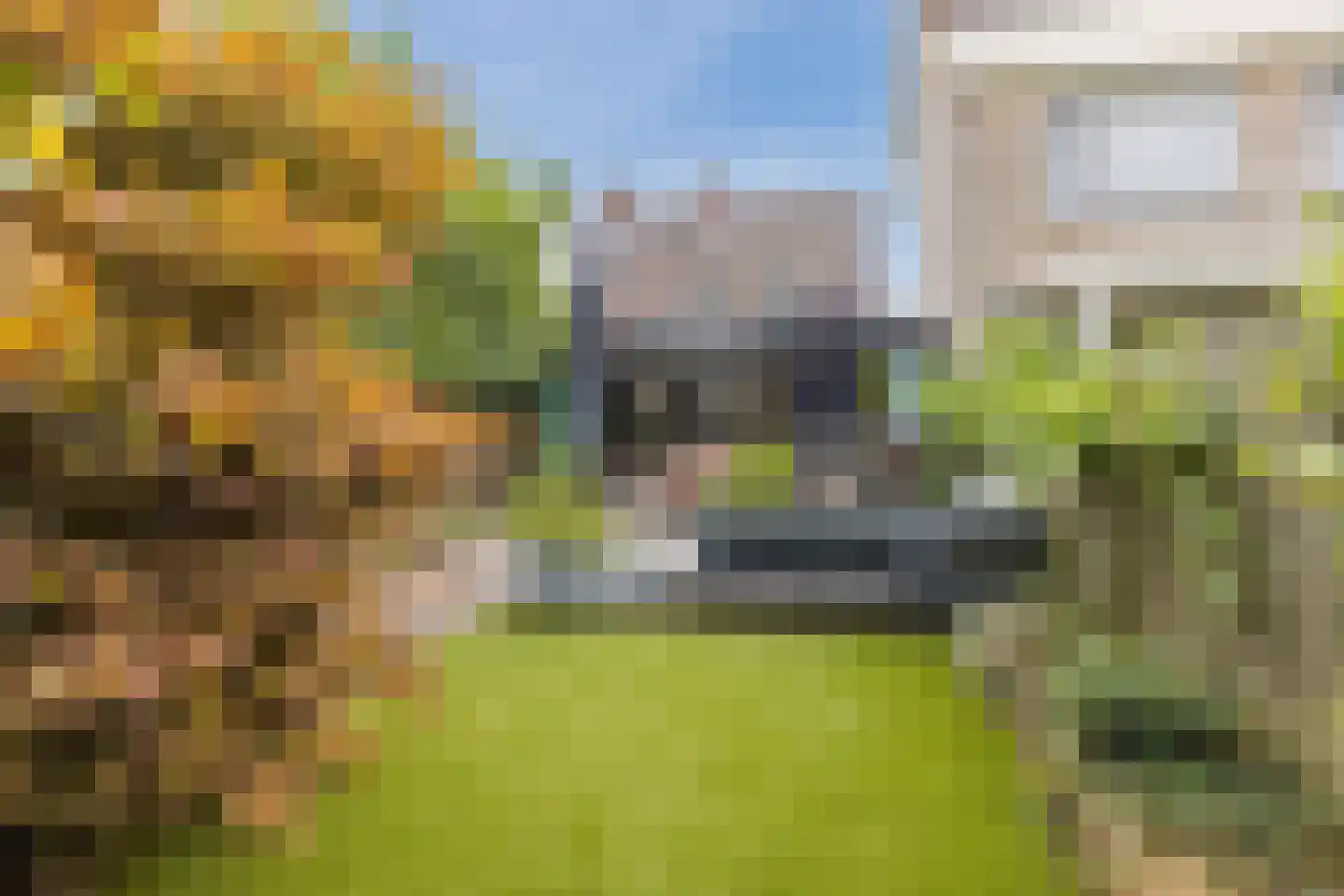Heufkens 525 Uden thumbnail 45