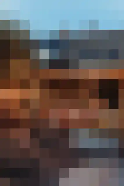 Heufkens 525 Uden thumbnail 48