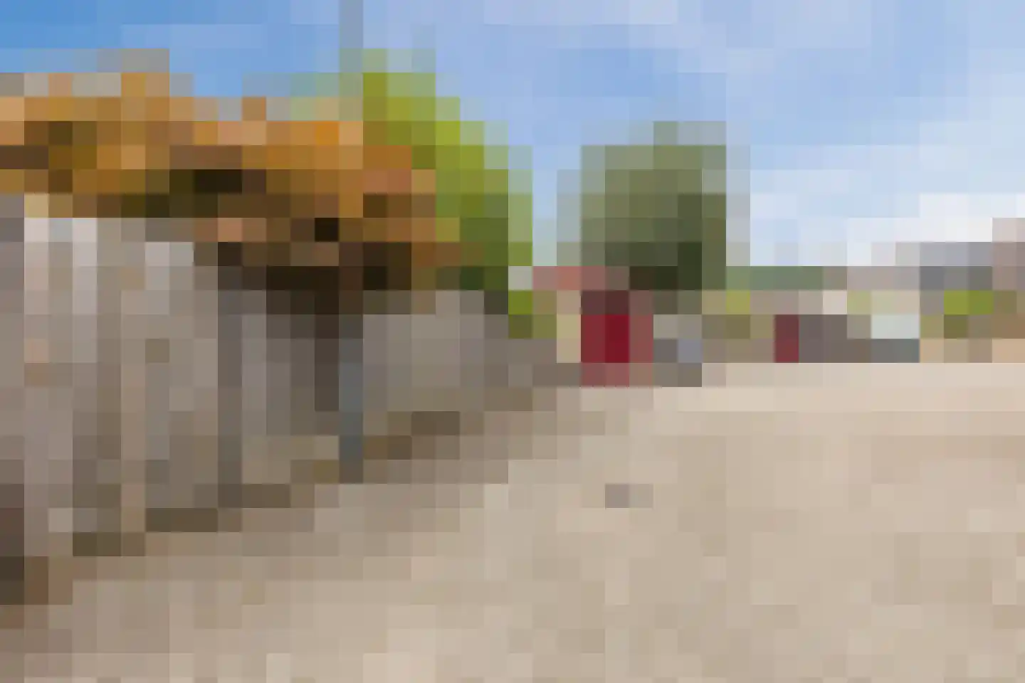 Heufkens 525 Uden thumbnail 50