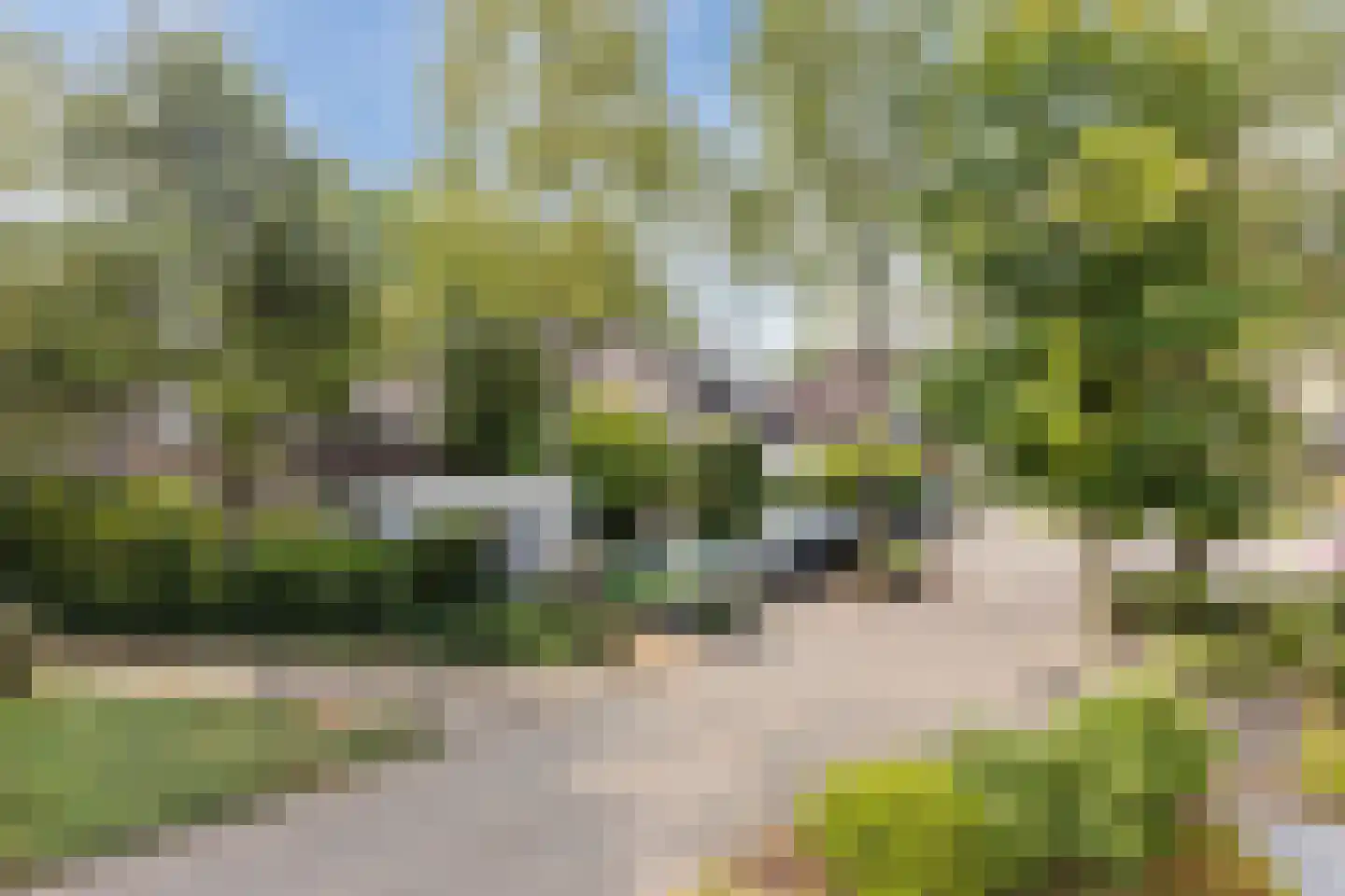 Heufkens 525 Uden thumbnail 55