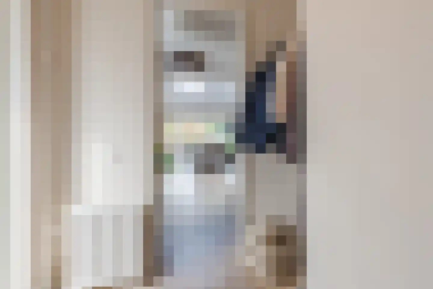 Heufkens 525 Uden thumbnail 8