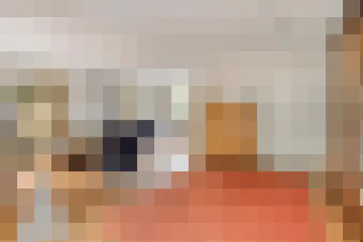 Heufkensweg 5 A Uden thumbnail 15