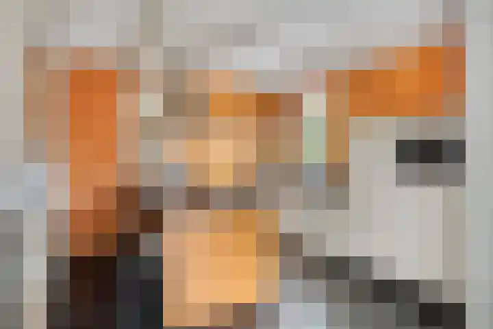 Heufkensweg 5 A Uden thumbnail 18