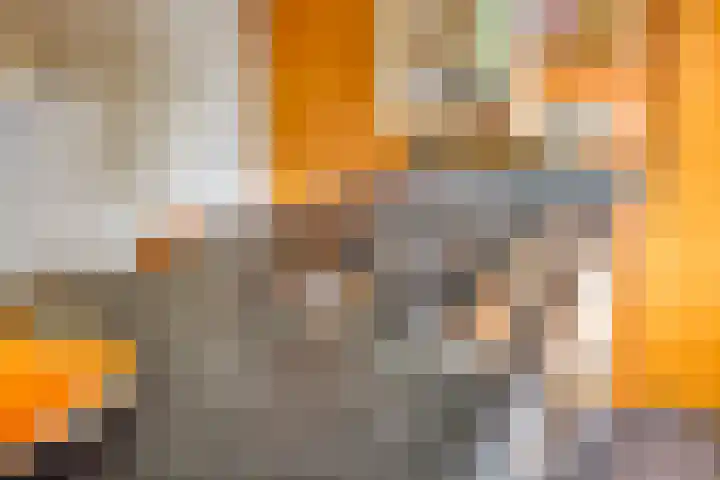 Heufkensweg 5 A Uden thumbnail 19
