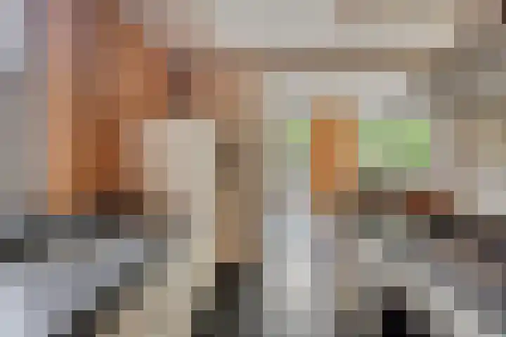 Heufkensweg 5 A Uden thumbnail 20