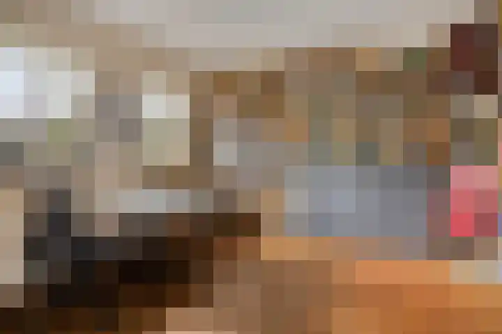 Heufkensweg 5 A Uden thumbnail 21
