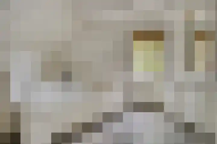 Heufkensweg 5 A Uden thumbnail 27
