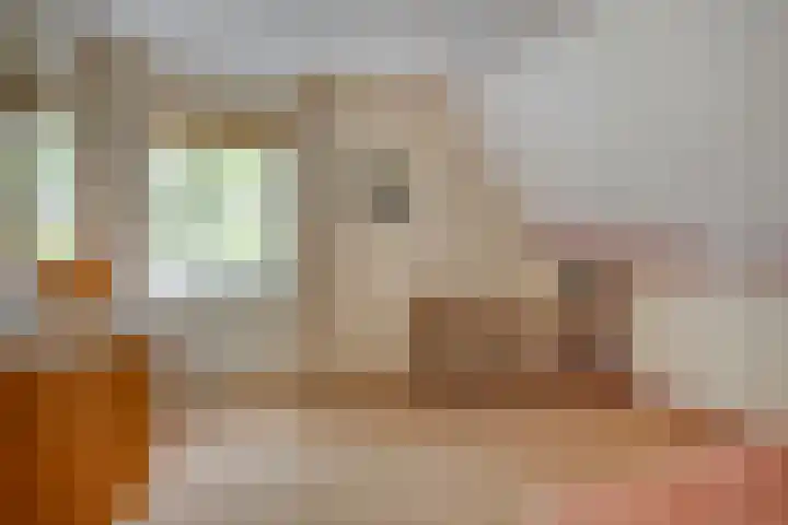 Heufkensweg 5 A Uden thumbnail 29