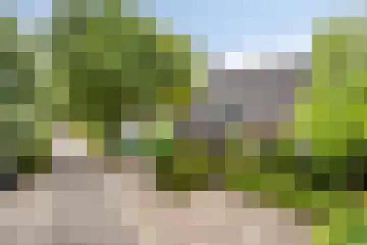 Heufkensweg 5 A Uden foto 3