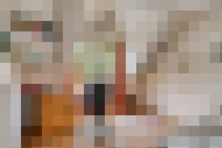 Heufkensweg 5 A Uden thumbnail 30