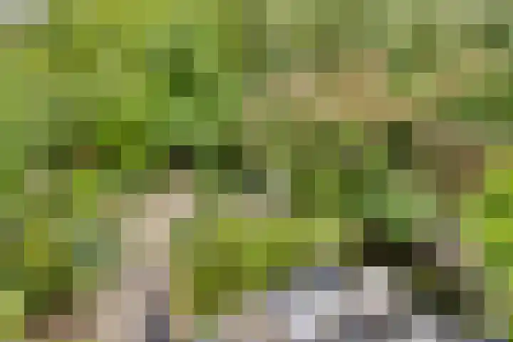 Heufkensweg 5 A Uden thumbnail 33