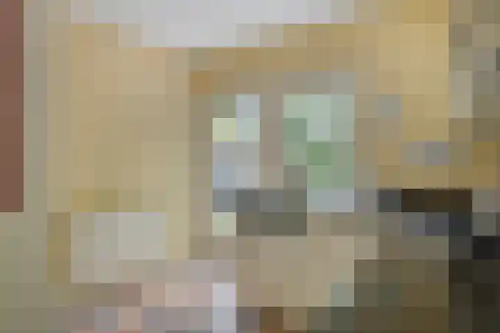 Heufkensweg 5 A Uden thumbnail 40