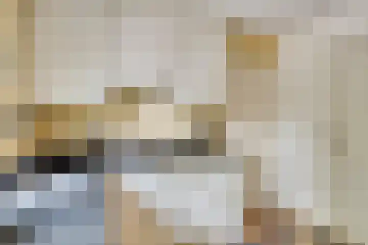 Heufkensweg 5 A Uden thumbnail 41