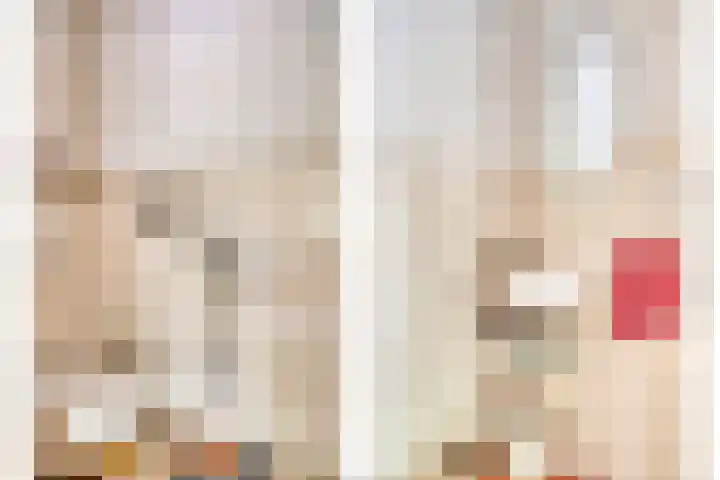 Heufkensweg 5 A Uden thumbnail 42