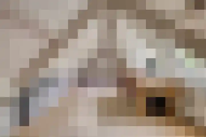 Heufkensweg 5 A Uden thumbnail 43