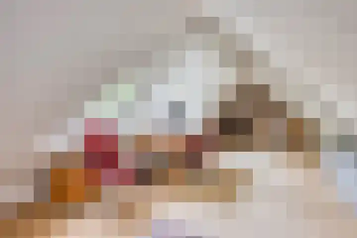 Heufkensweg 5 A Uden thumbnail 44