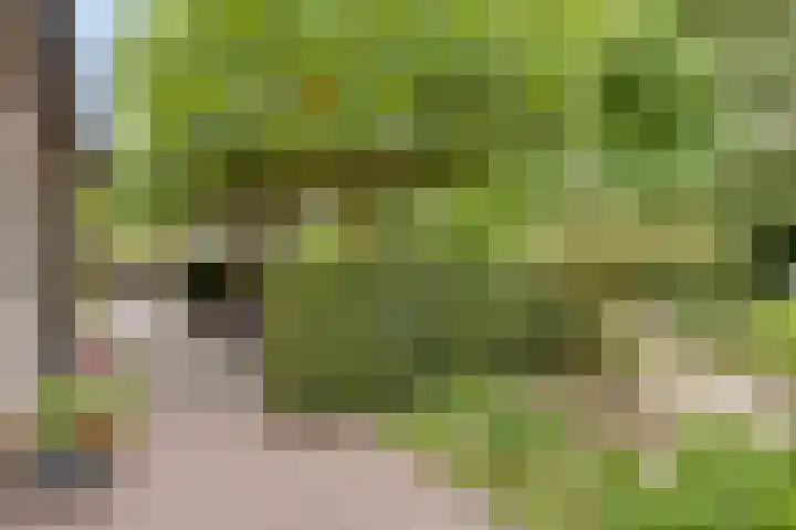 Heufkensweg 5 A Uden thumbnail 45