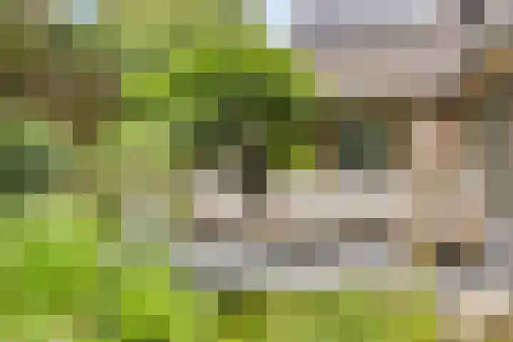 Heufkensweg 5 A Uden thumbnail 47
