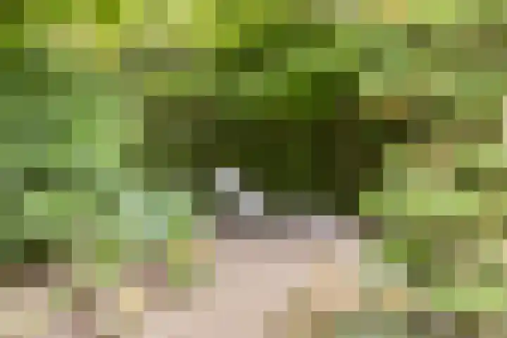 Heufkensweg 5 A Uden thumbnail 48