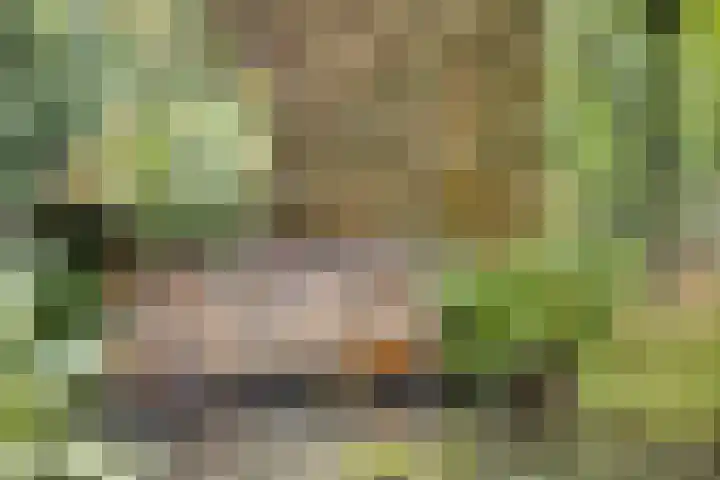 Heufkensweg 5 A Uden thumbnail 49