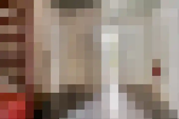 Heufkensweg 5 A Uden thumbnail 5