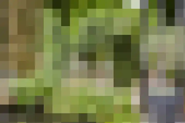 Heufkensweg 5 A Uden thumbnail 50