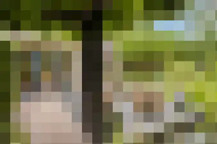 Heufkensweg 5 A Uden thumbnail 51