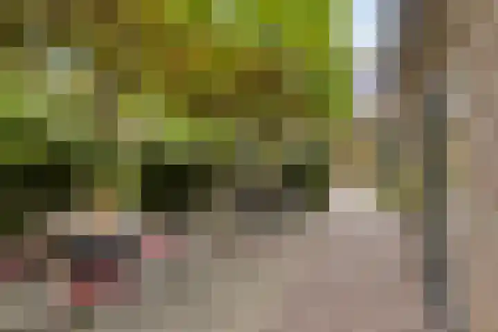 Heufkensweg 5 A Uden thumbnail 52