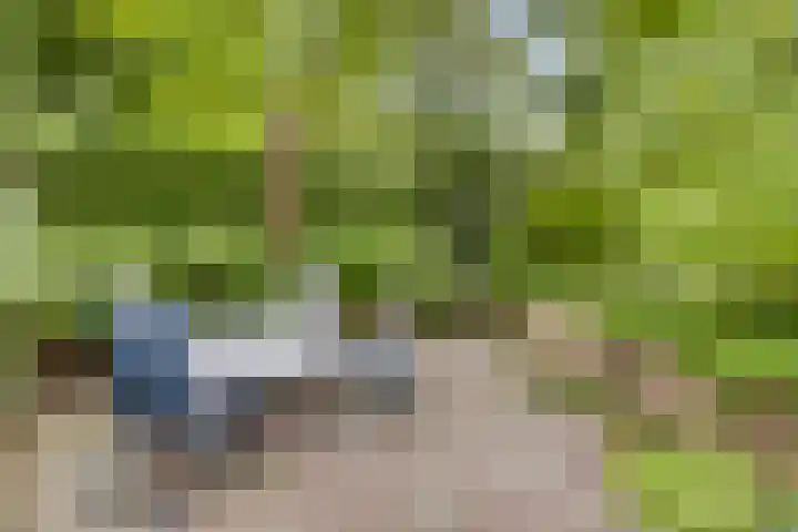 Heufkensweg 5 A Uden thumbnail 54